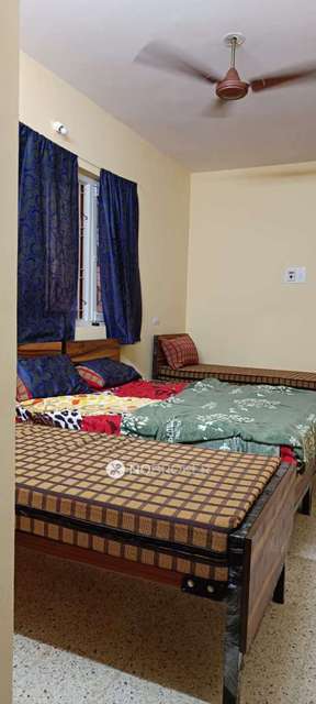 PG for Boys in Tippasandra