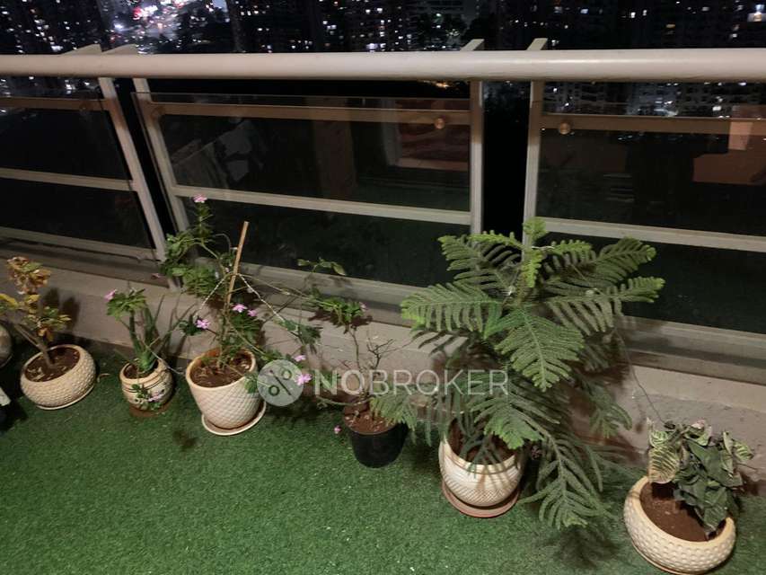 2 BHK Flat In Blue Ridge - Paranjpe Schemes for Rent  In Hinjewadi Phase 1