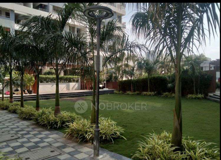 2 BHK Flat In Kingstone Aura Handewadi for Rent  In Wing-d, Kingston Aura, Pandhari Nagar, Handewadi, Pune, Autadwadi Handewadi, Maharashtra 411028, India