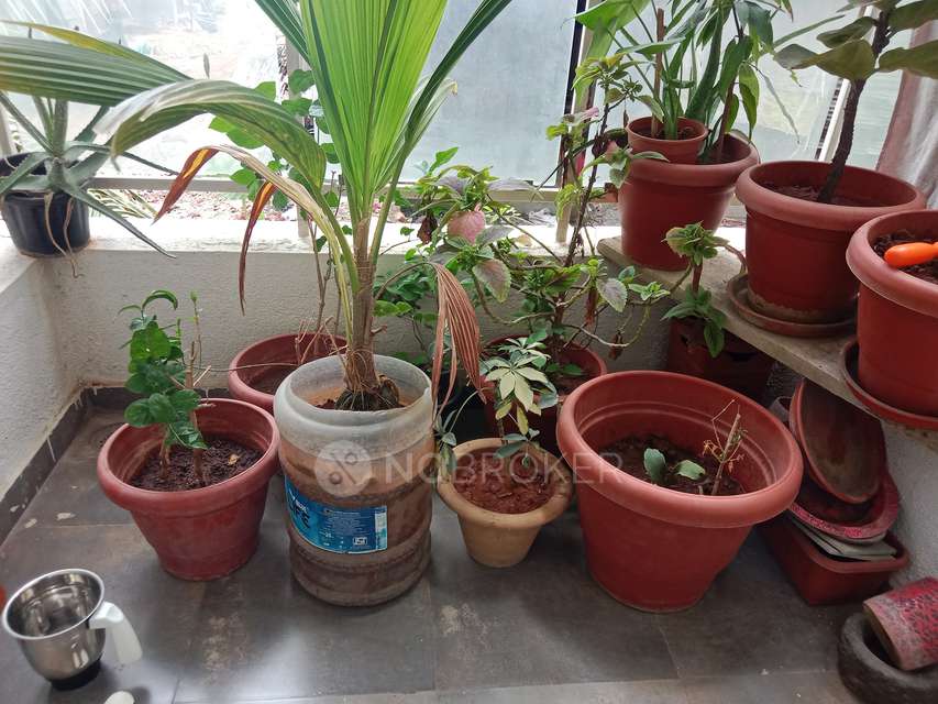 2 BHK Flat In Gaikwad Atharva Heritage For Sale  In Wakad