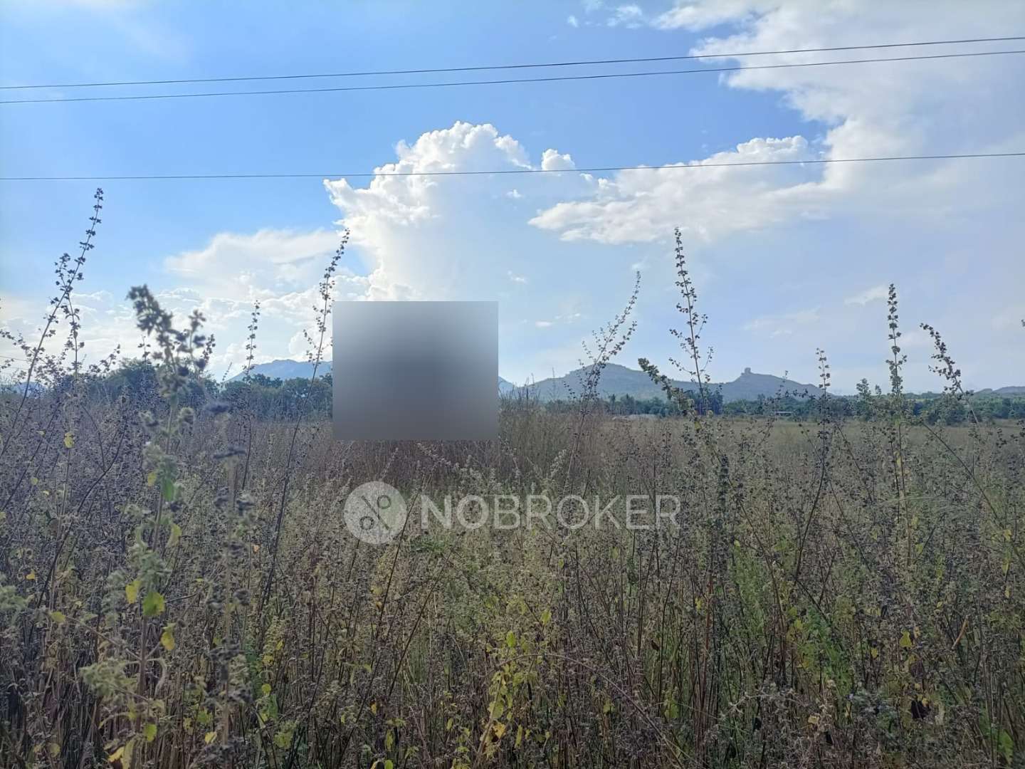 Plot For Sale  In Arakkonam Real Estate