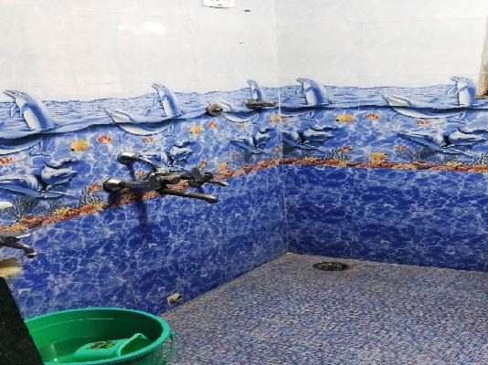 1 BHK Flat In Laxmi Dham Co. Housing Society For Sale  In Chinchpada, Kalyan East