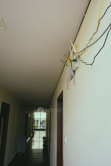 PG for Boys in Hsr Layout