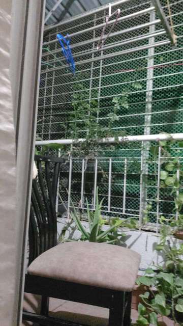 2 BHK Flat In Fortune Shubhan For Sale  In Yewalewadi
