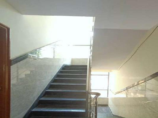 PG for Anyone in Whitefield