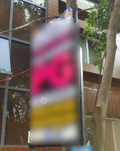 PG for Anyone in Whitefield