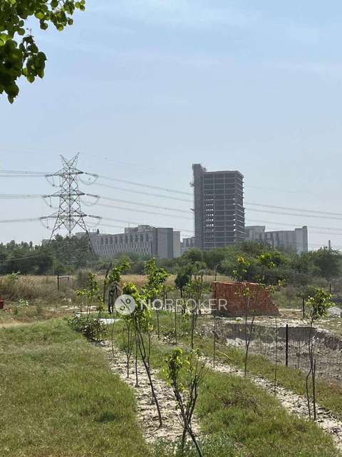 Plot For Sale  In Yamuna Expy