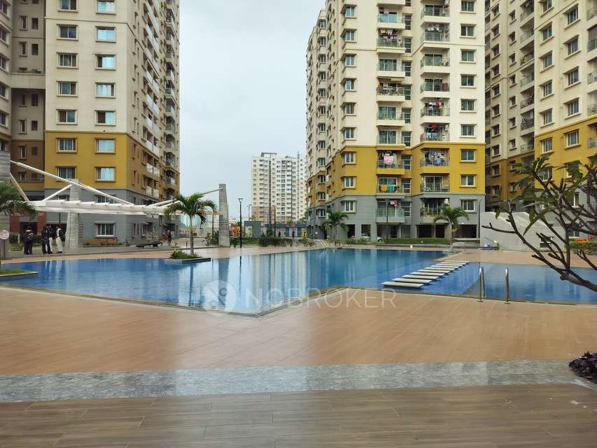 3 BHK Flat In Ahad Euphoria for Rent  In Sarjapur
