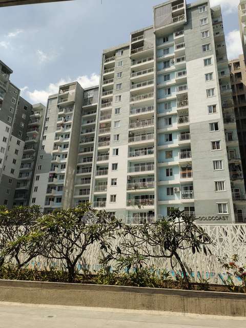 1 BHK Flat In Sjr Blue Waters For Sale  In Sarjapur Road