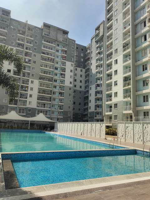 1 BHK Flat In Sjr Blue Waters For Sale  In Sarjapur Road