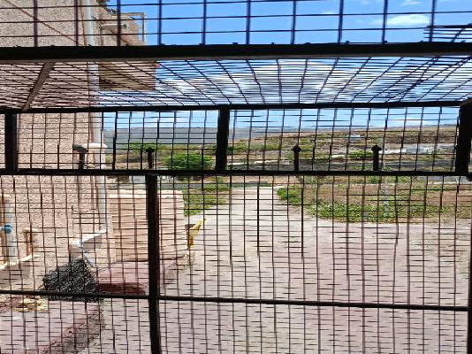 1 RK House for Rent  In Wadachi Wadi