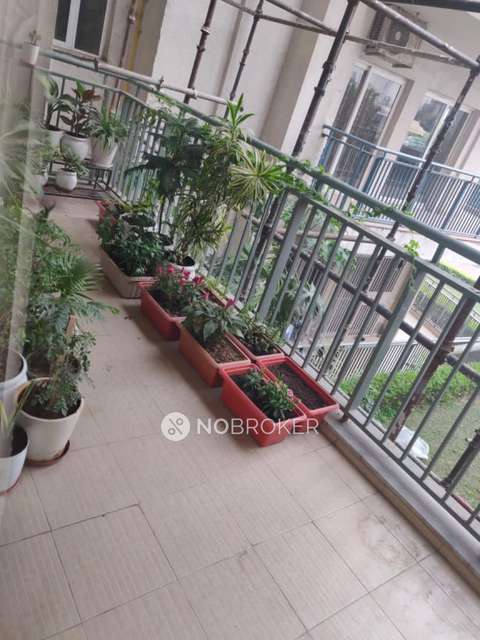 3 BHK Flat In Spaze Privy For Sale  In Sector-72