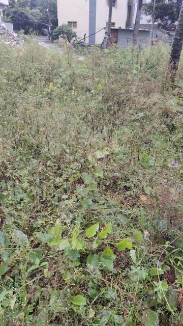 Plot For Sale  In Gottigere