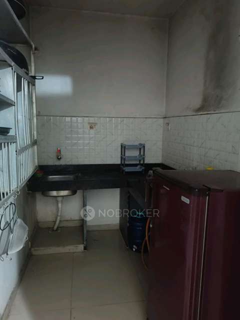 1 BHK Flat In Hinjewadi Hills for Rent  In Pune