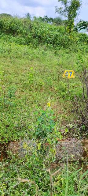 Plot For Sale  In Balaji Layout In 4c4j+wg8, Pillahalli, Nelamangala Town, Karnataka 562123, India