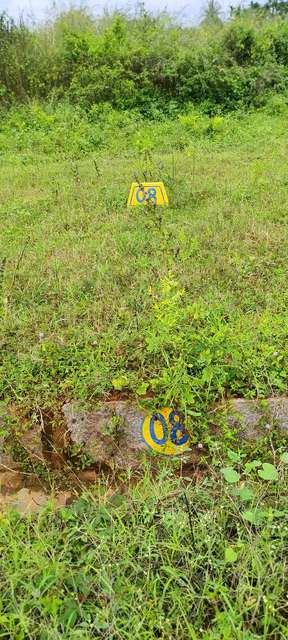 Plot For Sale  In Balaji Layout In 4c4j+wg8, Pillahalli, Nelamangala Town, Karnataka 562123, India