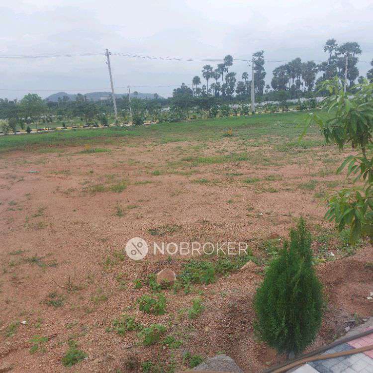 Plot For Sale  In Taramatipet