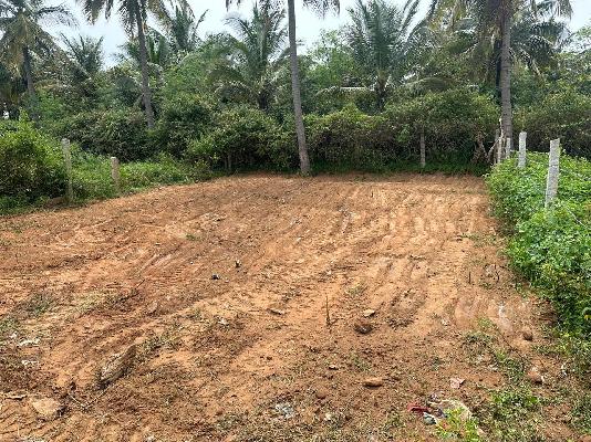 Plot For Sale  In Dandupalya