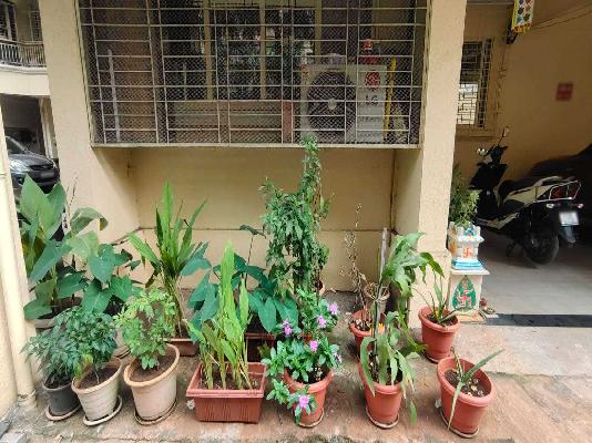 1 BHK Flat In Raj Vaibhav Nx For Sale  In Shastri Nagar,dombivli West