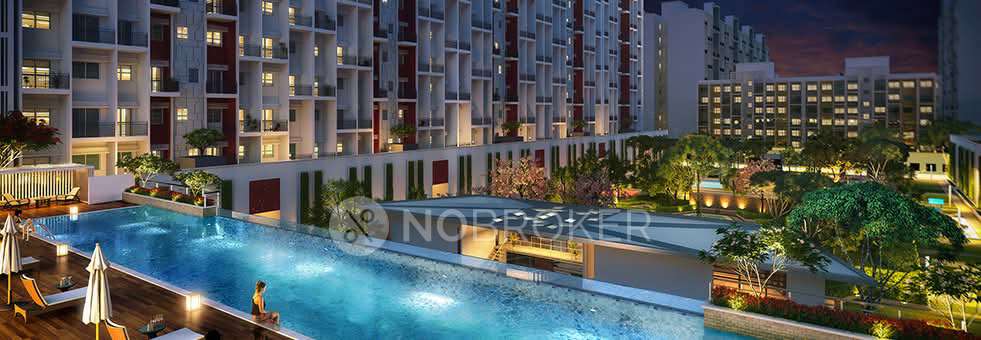 2 BHK Flat In Godrej 24, Hinjawadi, Hinjawadi for Rent In Hinjawadi
