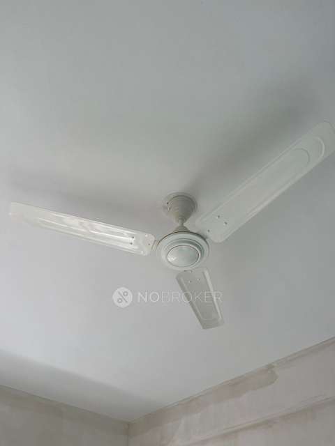 1 BHK Flat In Rose Ally Society for Rent  In Jambe