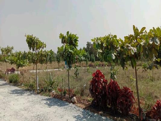 Plot For Sale  In Sandal Nest In Hosur