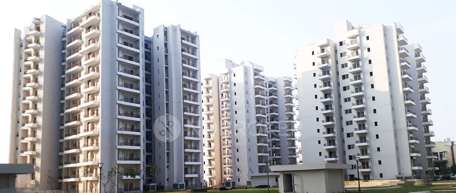 3 BHK Flat In Spaze Kalistaa, Sector 84 For Sale  In Sector 84