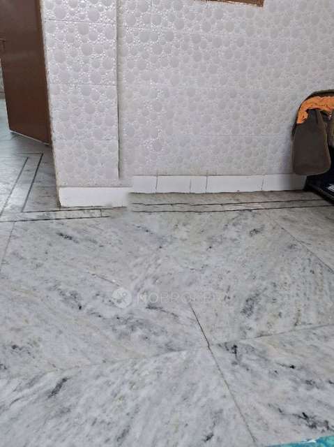 1 BHK Flat In Apartment  for Rent  In Vaishali