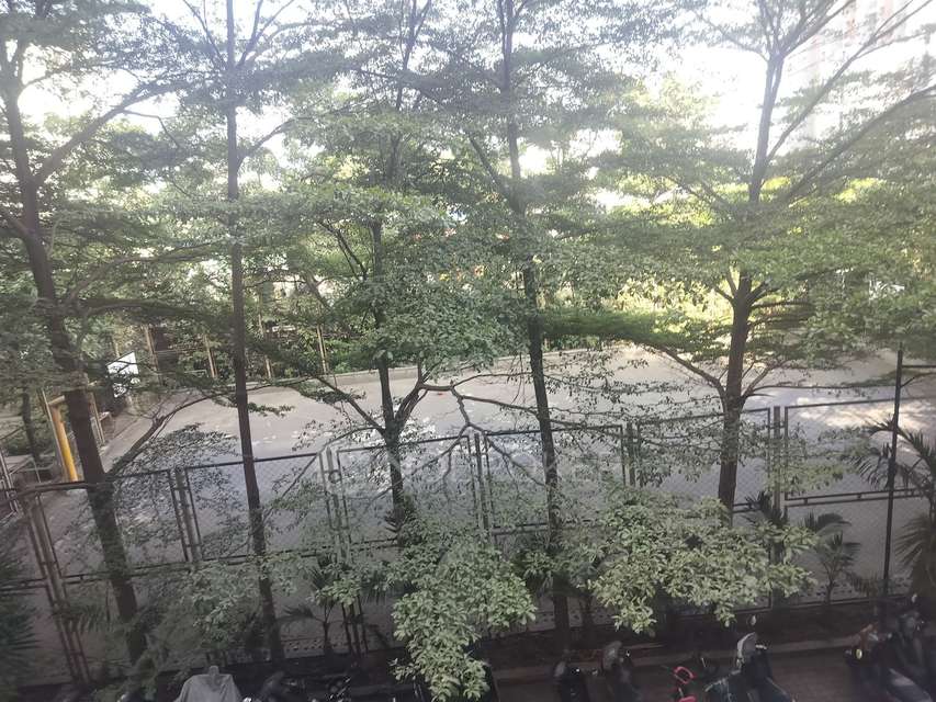 2 BHK Flat In Pride Purple Park Springs for Rent  In Dhanori