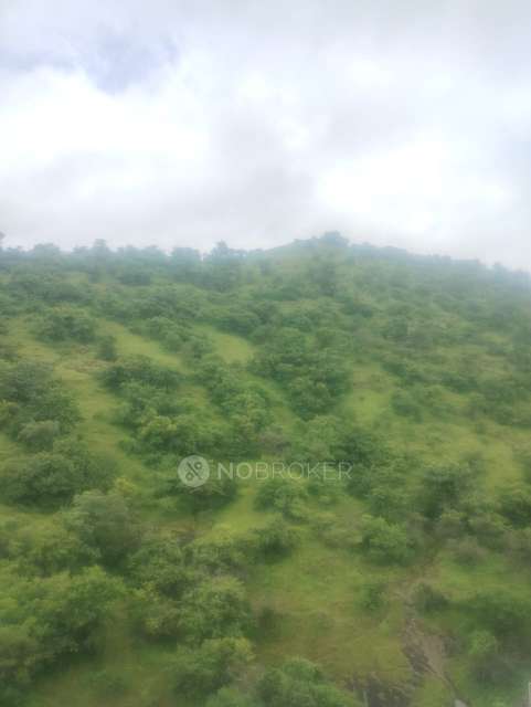 2 BHK Flat In Menlo Homes for Rent  In Hinjewadi Phase 2