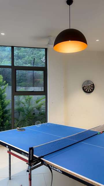 2 BHK Flat In Menlo Homes for Rent  In Hinjewadi Phase 2