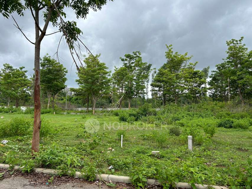 Plot For Sale  In Ramohalli