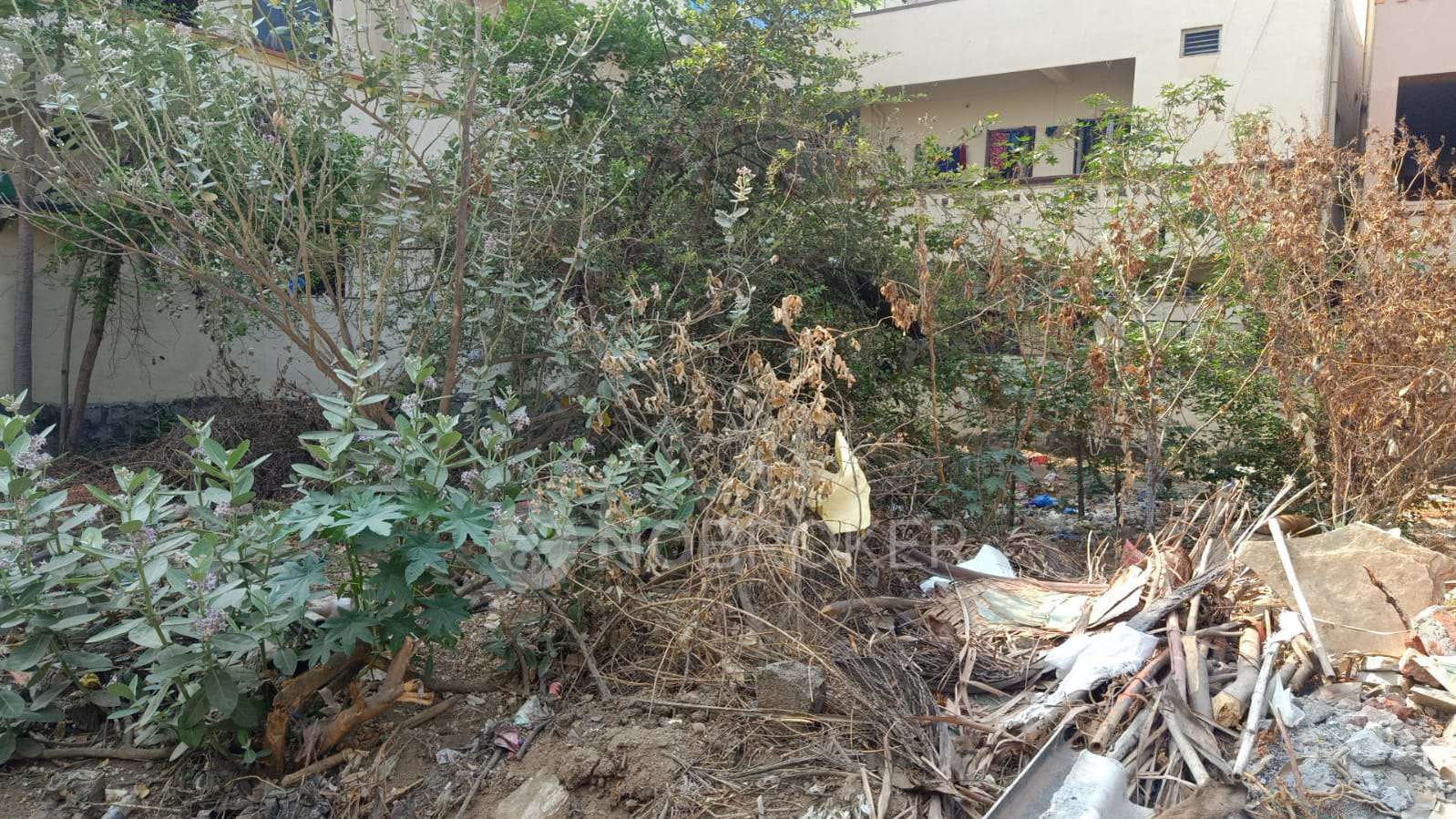 Plot For Sale  In Lalitha Nagar  In Bolaram