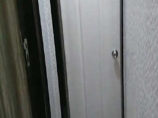 1 BHK Flat In Shanti Chs  For Sale  In Nerul