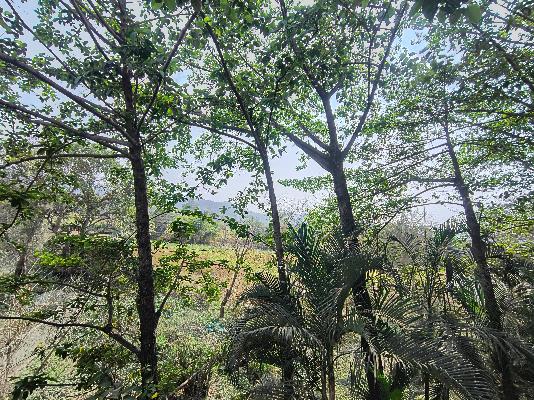 2 BHK Flat In Green Promise_1  for Rent  In Sus