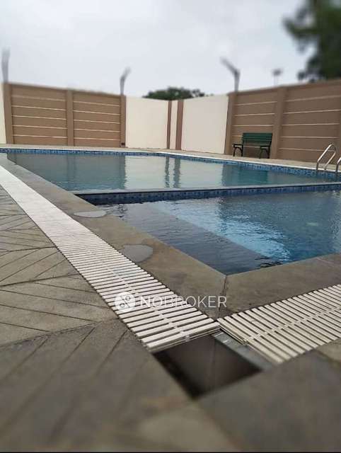 2 BHK Flat In Rivvah Regecy for Rent  In Decathlon Wagholi