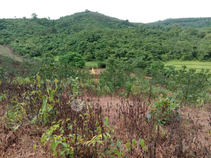 2 BHK Flat In Raj Tulsi Heritage For Sale  In Badlapur