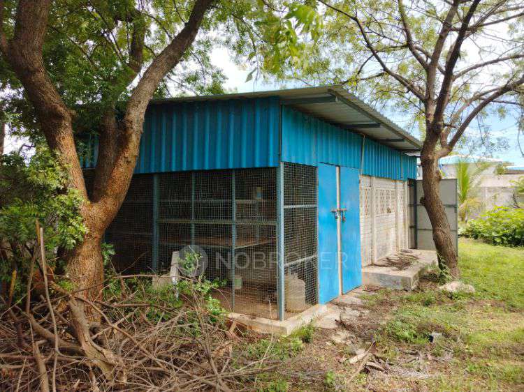 PG for Anyone in Sivasree Gardens