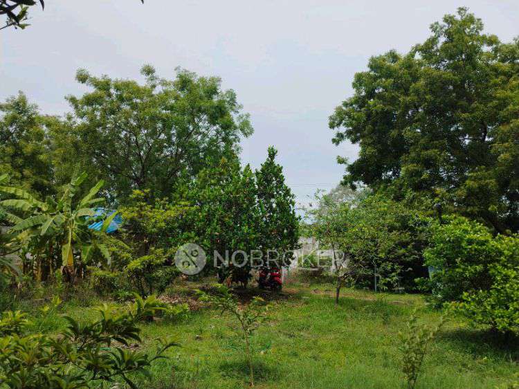 PG for Anyone in Sivasree Gardens