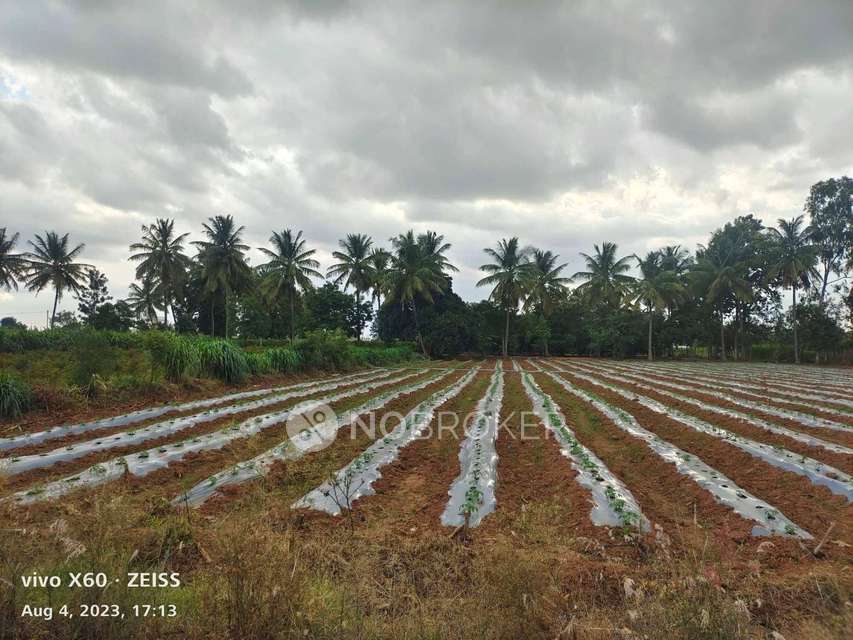 Plot For Sale  In Whitefield