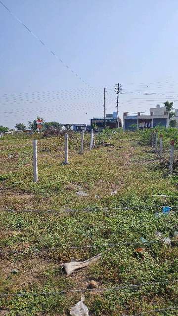 Plot For Sale  In Uruli Kanchan