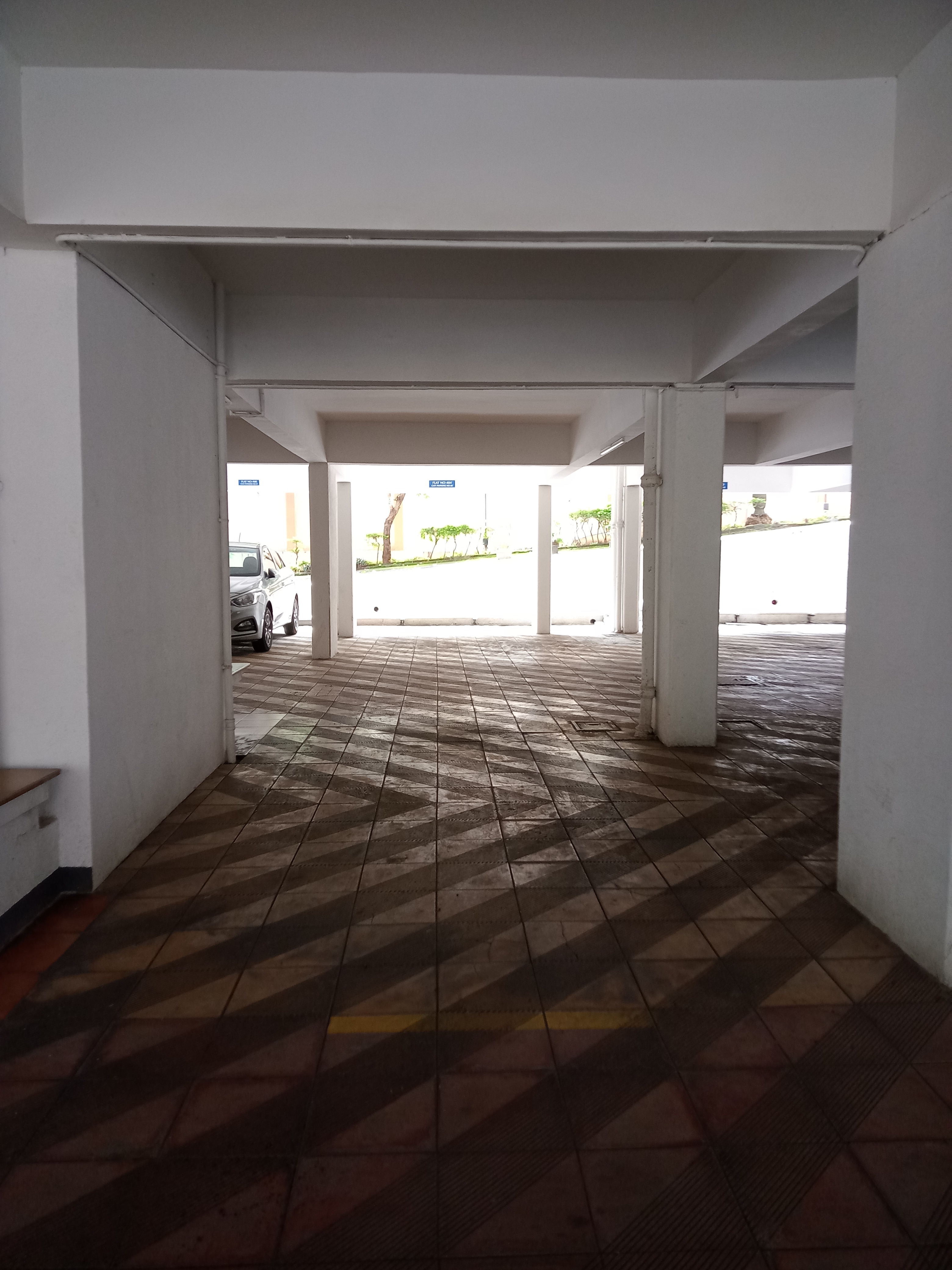 Harmony Woodland Harmony