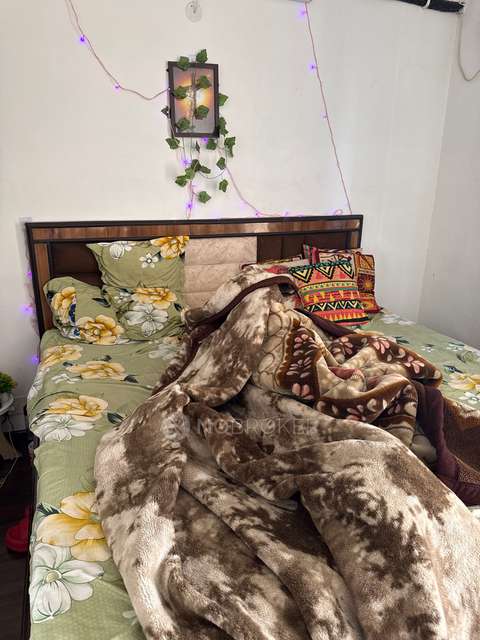 2 BHK Villa In 3c Lotus Zing for Rent  In Sector 168