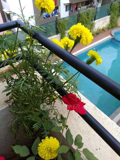 2 BHK Flat In Favourite Elegance For Sale  In Kaval Bairasandra