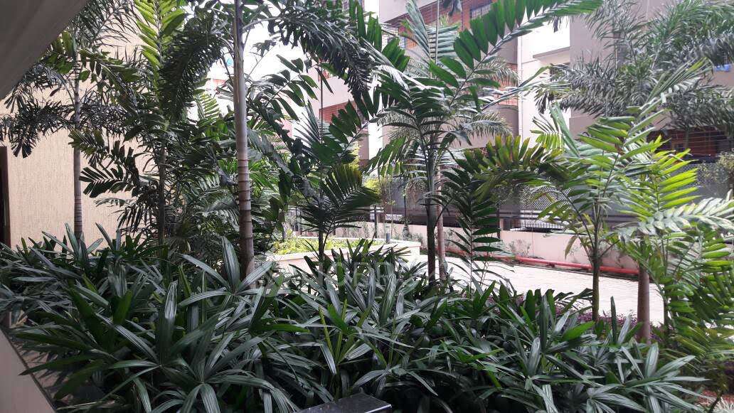 2 BHK Flat In Favourite Elegance For Sale  In Kaval Bairasandra