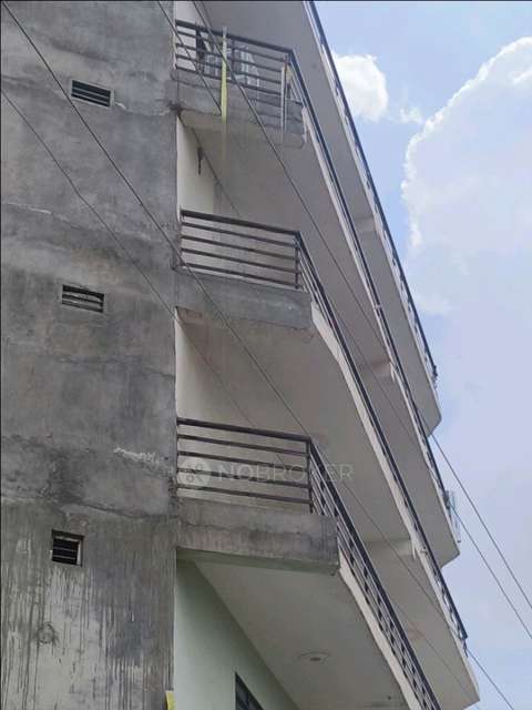 PG for Anyone in Sector 8