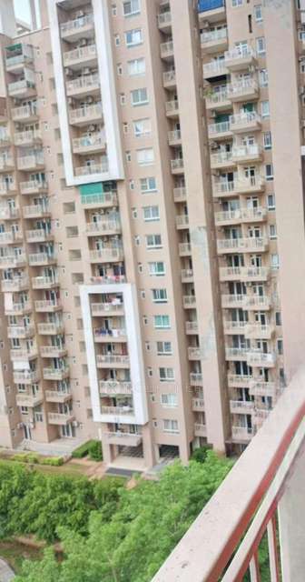 3 BHK Flat In Emaar Palm Gardens For Sale  In Sector 83