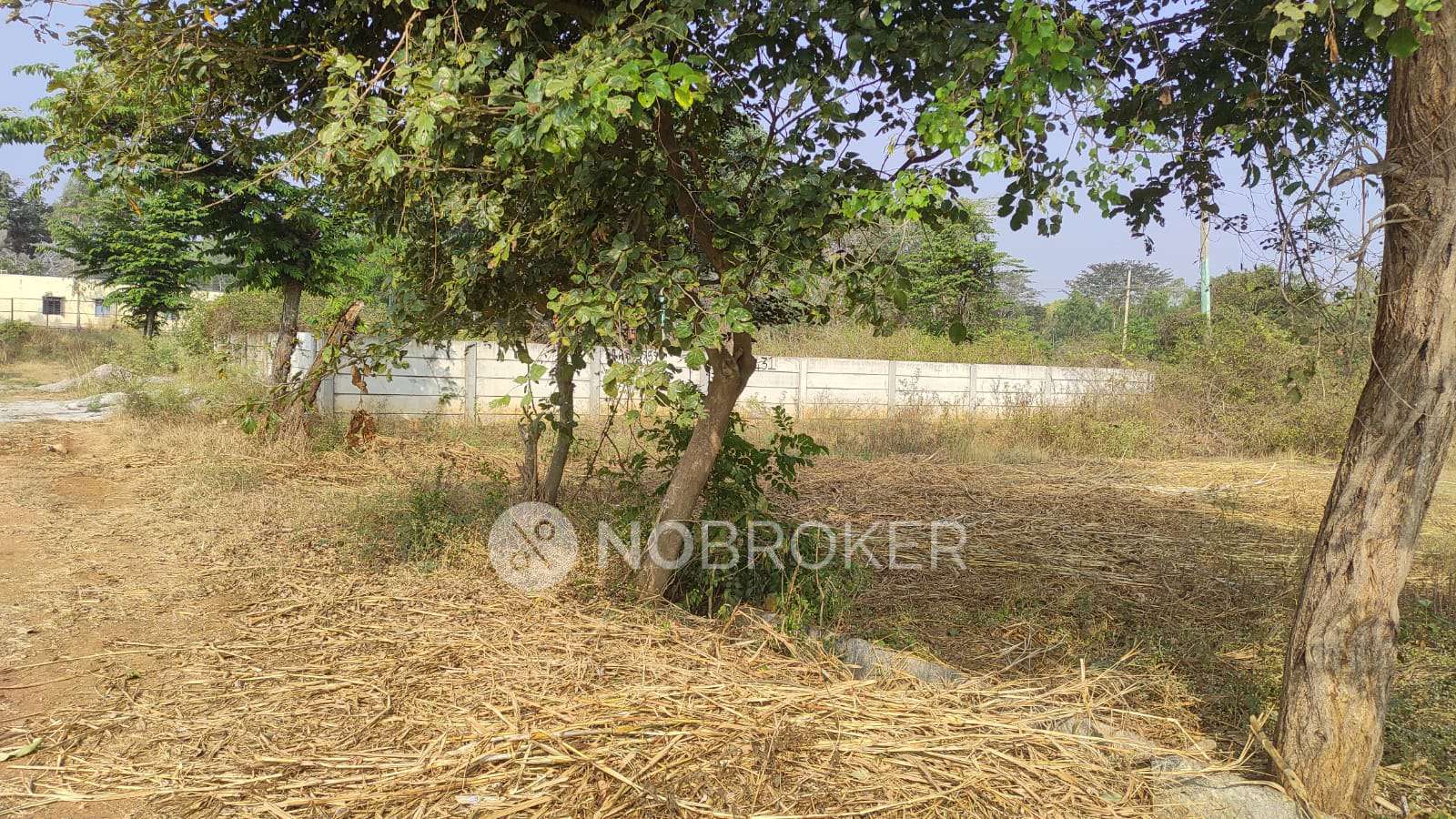 Plot For Sale  In Hesarghatta