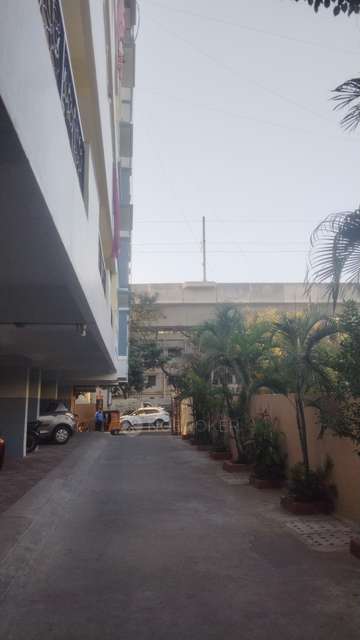 3 BHK Flat In Dandu Classic for Rent  In Padmarao Nagar