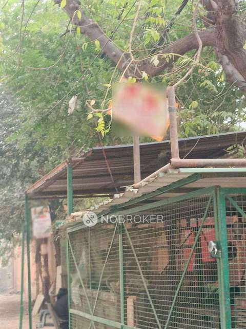 PG for Boys in Khazoori Khas